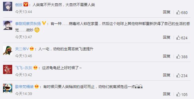 近2000萬小海龜孵化奔向大海 網友：這波龜龜趕上好時候了