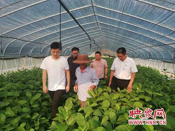新氣象！南陽市南召縣實施“頭雁工程”實現村美民富