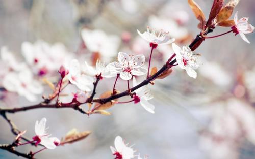 春暖花開(kāi)！這些描寫(xiě)春天的好詞、好句、好段快收藏！ 