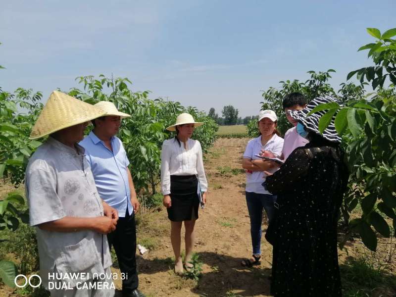 太康縣毛莊鎮(zhèn)的“傻子”干部